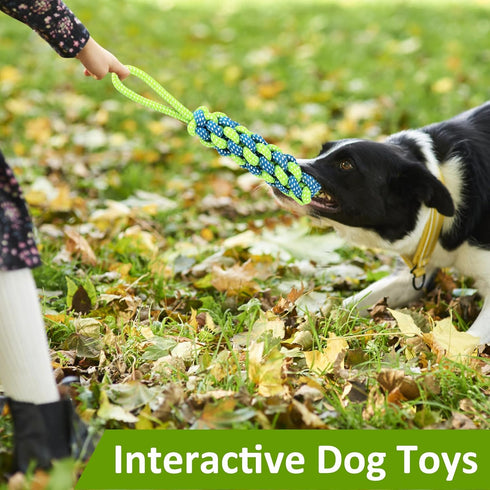 Tree Tugger Dog Toy - Retractable Bungee Tug Toy, Interactive Tug of War with 32.8 ft Rope
