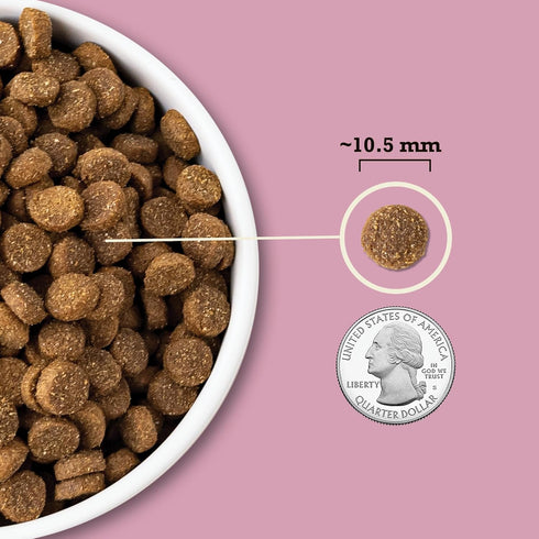 ACANA Wholesome Grains Dry Dog Food, Small Breed Recipe, Chicken and Turkey, 4lb