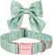Unique Style Paws Silk Green Dog Collar, Adjustable Durable Collar with Bowtie for Medium Dogs