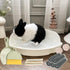 RUBYHOME Chinchilla 20 13.2 6 Rabbit Litter Box Large Bunny Guinea Pig Corner Litter Box Potty Trainer Bigger Pet Pan