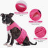 PUMYPOREITY Washable Female Dog Diaper, Adjustable Suspender Pantie, Escape-Proof Anti-Harassment Wear for Heat
