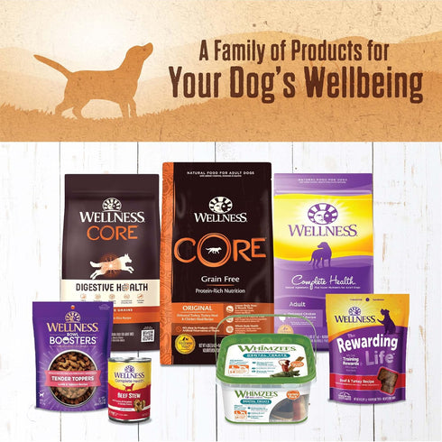 95% 13.2-Ounce (Pack 12) Wellness Beef Natural Wet Grain Free Canned Dog Food, Can