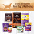 95% 13.2-Ounce (Pack 12) Wellness Beef Natural Wet Grain Free Canned Dog Food, Can