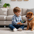 Dog Training Collar with Remote, 2600FT Range, 4 Training Modes Beep, Shake, Safe Shock, LED Light, Rechargeable IPX7