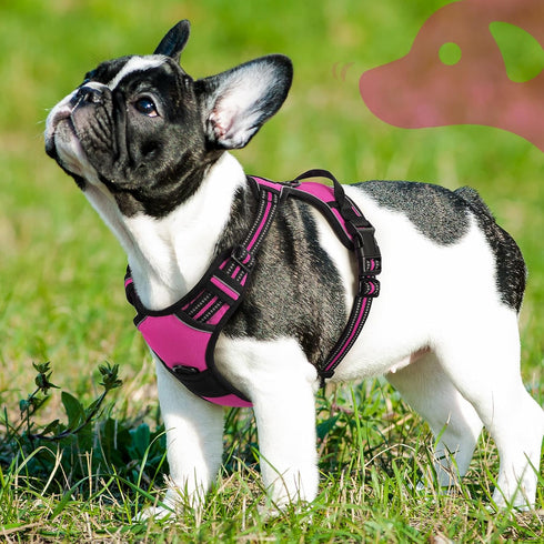 Eagloo Small Dog Harness, No Pull Service Vest with Reflective Strips and Control Handle, Adjustable and Comfortable,
