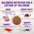 Wellness Healthy Indulgence Morsels - Grain-Free Wet Cat Food, 3 oz Pouches (Morsels Variety Pack, 8 Pack)