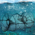 18x33cm OUNONA Collapsible Fishing Bait Trap Net, Spring Cage Minnow and Crawfish Fish Trap, Black Fine Mesh Hand Cast