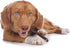 Cadet Beef Sticks Dog Treats - Long-Lasting, Healthy & Natural Beef Esophagus Treats for Small & Large Dogs, 12 oz.