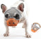 Short Snout Dog Muzzles, Adjustable Breathable Mesh for Bulldogs, Anti-Biting Training, Orange