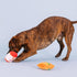 Fringe Studio Plush Dog Toy Set with Treat Pockets, Nothin’ But Noodles, 2 Piece Pet Shop Collection