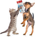 Northwest Naturals Freeze-Dried Goat Cheese Functional Topper for Dogs & Cats - 4.5 Oz
