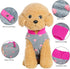 Grey Dog Heart Sweater with Leash Ring, Soft Fleece Vest for Small Dogs and Cats, Medium Size