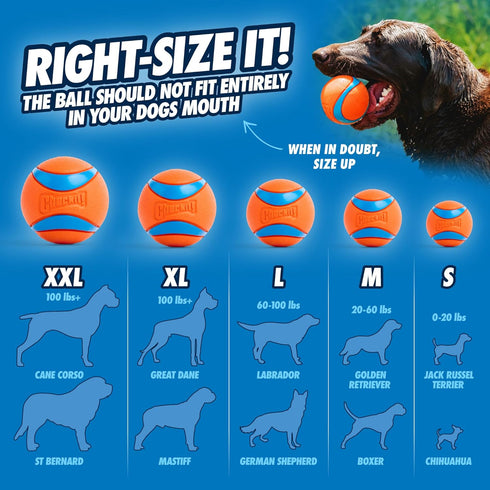 Chuckit! Ultra Ball Dog Toy, Medium (2.5 Inch Diameter), Pack of 1
