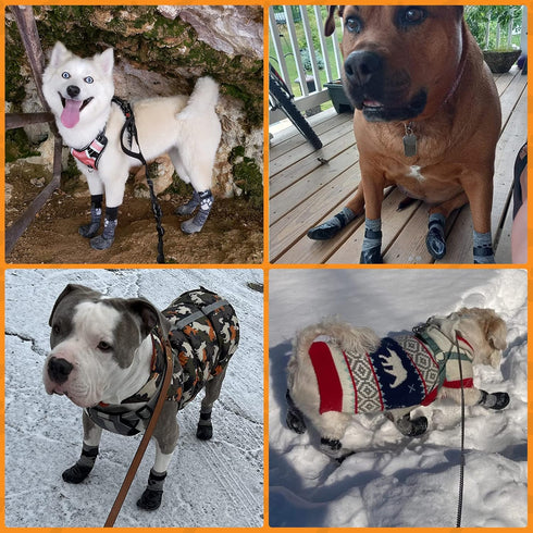 KOOLTAIL Anti Slip Dog Socks for Hot/Cold Pavement, Traction Rain Dog Boots & Paw Protectors for Small Medium Large Dogs