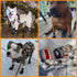KOOLTAIL Anti Slip Dog Socks, Traction Rain Dog Boots & Paw Protectors for Small Medium Large Senior Dogs, XL