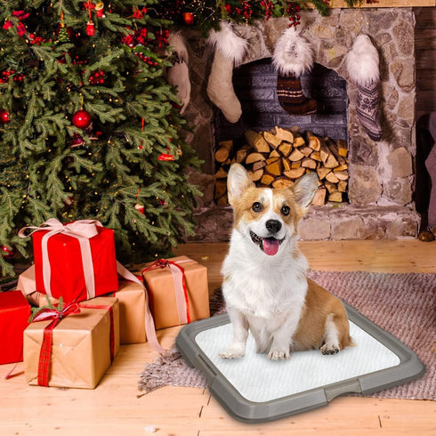 PAWISE Dog Training Pee Pad Holder Tray, Large Indoor Puppy Potty Floor Tray, 24''X24'