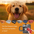CABZOON 35lbs,Elevated 2 Christmas Dog Car Seat for Small/Medium Dogs Up to Cushion Fits in Front/Back Seat,Travel