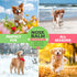 Dog Nose Balm - 100% Organic & Natural Moisturizer | Healing Cream for Dry, Chapped Noses