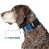 Buckle-Down Plastic Clip Collar - Frozen Olaf Poses/Snowflakes Blues - Large, 1" Wide, Fits 15-26" Neck