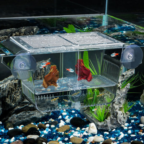 Pawfly Aquarium Fish Breeding Box, Acrylic Hatching Box with 6 Suction Cups for Baby Fish