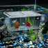 Pawfly Aquarium Fish Breeding Box, Acrylic Hatching Box with 6 Suction Cups for Baby Fish