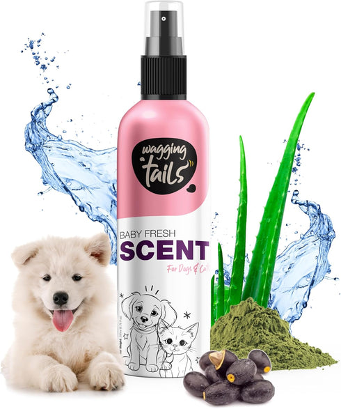 200ml (6.76 oz) Wagging Tails Baby Fresh Pet Scent | Natural Aloe Vera & Elemi Gum Oil | Long-Lasting Deodorizing Spray