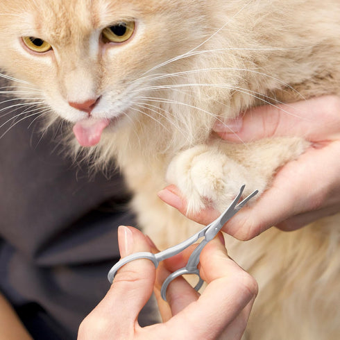Tweezerman Dog and Cat Stainless Steel Safety Tip Grooming Scissors