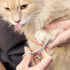 Tweezerman Dog and Cat Stainless Steel Safety Tip Grooming Scissors