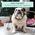 Woof Freeze Dried Dog Food, Duck Recipe, High Protein Complete Diet for All Life Stages - 1.76 oz