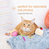 Set, Set 2 Pearhead Happy Birthday Cake Cat Toy Stuffed Birthday Cake and Cupcake Cat Toys with Catnip and Squeakers