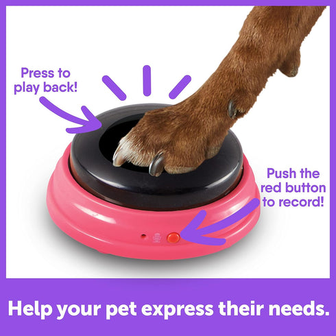 Hunger For Words Talking Pet Next Words Locations - 3 Piece Set of Recordable Speech Buttons for Dog Communication