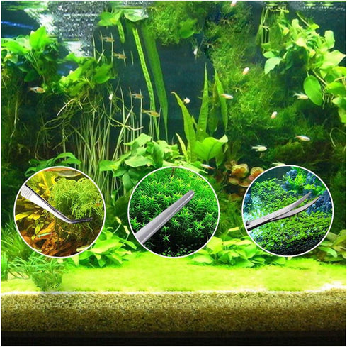 Aquascaping Tools 5 in 1 Kit, Stainless Steel Anti-Rust Aquarium Scissors, Tweezers, Spatula