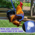 LUODAKA 4Pcs Adjustable Chicken Harness Safe Convenient Breathable Comfortable Suitable for Small Animal Training Can