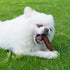 MON2SUN 5 Inch 10.6 oz (10 Count) Dog Treats Chicken Kabobs Treats, Rawhide-Free, Easy to Digest, Low Fat for Small