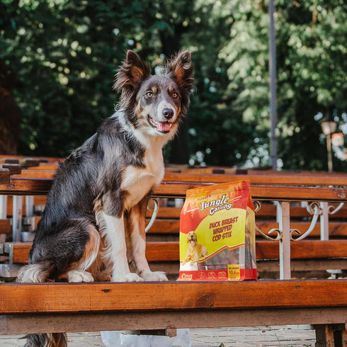 10.6oz Jungle Calling Duck Wrapped Cod Sticks Dog Treats, Rawhide Free Training Rewards Snacks for Dogs, Natural Chewy