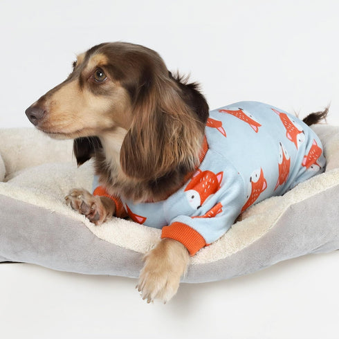 Fitwarm Funny Fox Dog Pajamas, Warm Dog Onesie for Small Dogs, Lightweight Velvet Pet Outfit, Gray, Orange, XL