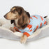 Fitwarm Funny Fox Dog Pajamas, Warm Dog Onesie for Small Dogs, Lightweight Velvet Pet Outfit, Gray, Orange, XL