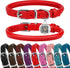 BRONZEDOG Rolled Leather Dog Collar for Small to Large Dogs with QR ID Tag, Scarlet Red (S: 12-14 Inch)