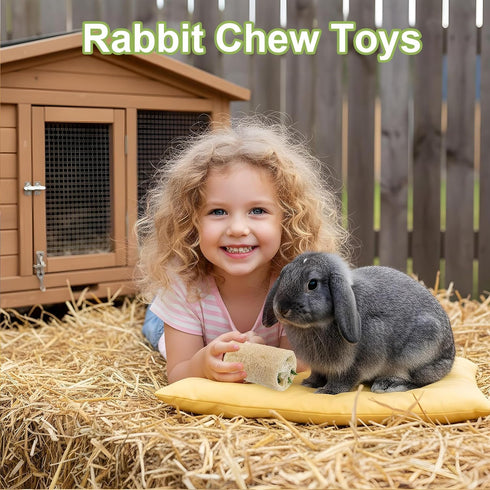 Qianyu 4 Chinchilla PCS Rabbit Chew Toys Natural Loofah Bunny Toys Pet Enrichment Accessories Bunny Teeth Grinding Toy