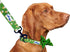 Dog Leash Green Beer - Durable Nylon Material - Premium Quality Leash for Dogs - Cute Dog Leash in Two Sizes