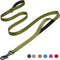 Fida 6 FT Heavy Duty Dog Leash, 2 Comfortable Padded Handles, Reflective Walking Lead, Green