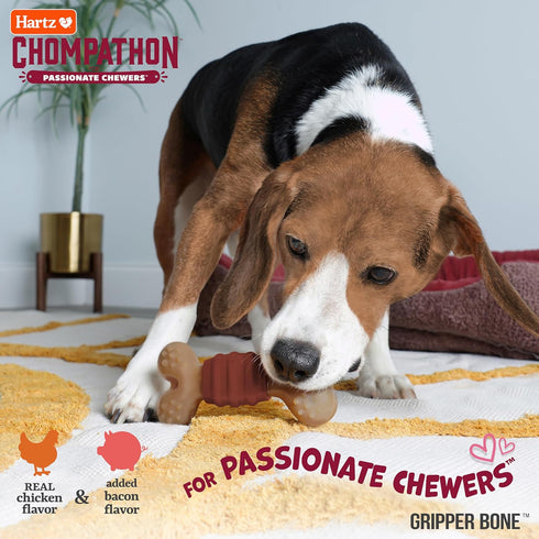 Hartz New Chompathon Gripper Bone Dog Chew Toy - Double Layered Flavored with Chicken & Bacon for Aggressive Chewers
