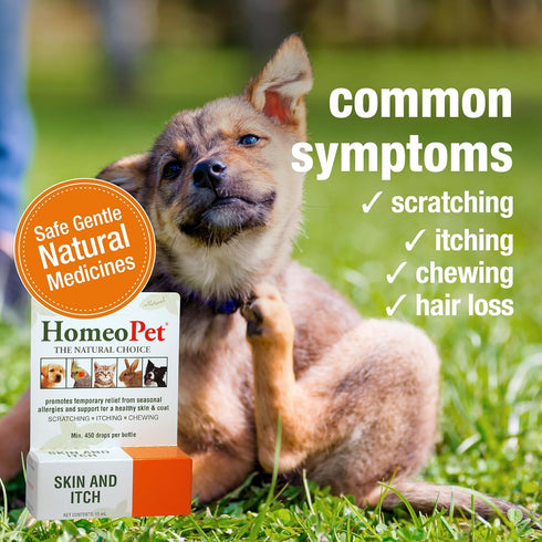 HomeoPet Skin and Itch Relief for Dogs and Cats, Natural Coat Soother, 15 Milliliters