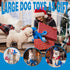 LEGEND SANDY Dog Toys for Aggressive Chewers - Large Interactive Squeaky Tug of War Dog Toy, Crinkle Dog Toy