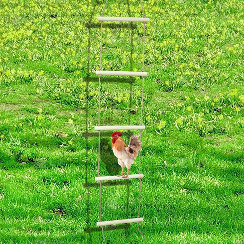 Oooct 138 16 Inch Extra Long Chicken Perch Stand, Natural Wood Chick Swing Toy for Coop, Chicken Coop Accessories