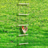 Oooct 138 16 Inch Extra Long Chicken Perch Stand, Natural Wood Chick Swing Toy for Coop, Chicken Coop Accessories