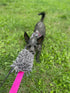 DINGO Dog Tug of War Toy - Outdoor Toy with Long Lead for Training, Soft Nubby-Textured Plush.