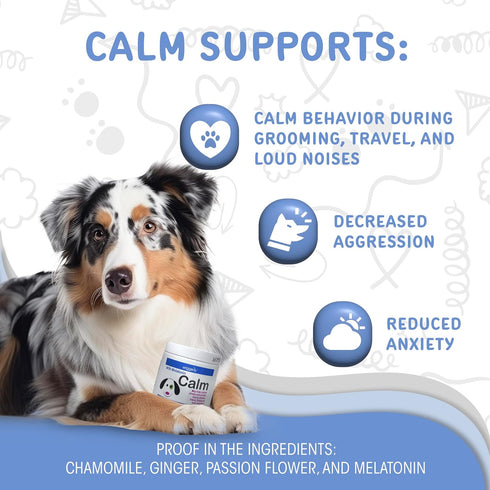 Calm with Melatonin - Calming Chews for Dogs to Manage Stress & Anxiety Relief (60 Chews)