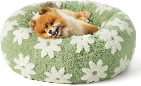 Lesure Donut Small Dog Bed - Cute Modern Round Cat Beds for Indoor Cats, Calming Pet Beds with Jacquard Shaggy Plush,