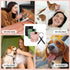 1PC wegreeco Reusable Washable Dog Diapers Female with Suspender, Dogs Period Heat Diapers Female Heat Cycle, XL Medium